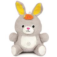 Winfun Play-with-Me Dance Pal - Bunny - 000279