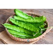 Winged Bean Seed 