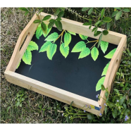 Wooden Tray