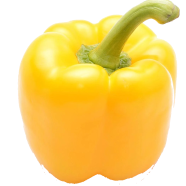 Yellow Capsicum Seeds - 5 Pcs