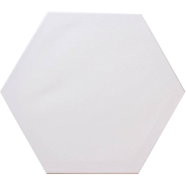  Hexagon Shape canvas 10 x 10 inch