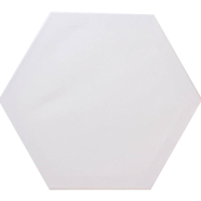  Hexagon Shape canvas 10 x 10 inch