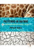 Patterns in Nature – Why the Natural World Looks the Way It Does