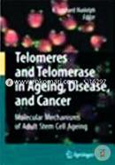 Telomeres And Telomerase In Ageing, Disease, And Cancer: Molecular Mechanisms Of Adult Stem Cell Ageing