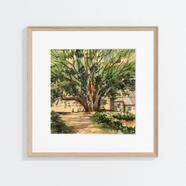 Banyan Tree Watercolor Painting - (26x26)inchs image
