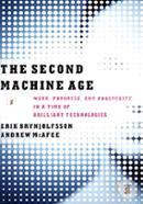 The Second Machine Age – Work, Progress, and Prosperity in a Time of Brilliant Technologies