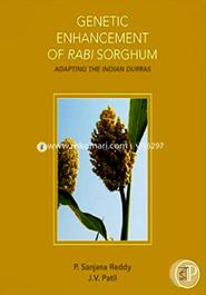 Genetic Enhancement of Rabi Sorghum: Adapting the Indian Durras