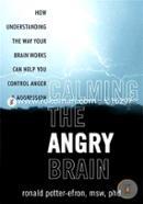 Healing the Angry Brain: How Understanding the Way Your Brain Works Can Help You Control Anger and Aggression 
