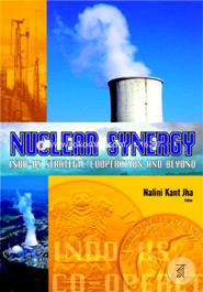 Nuclear synergy indo us strategic cooperation and beyond