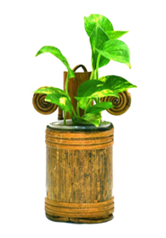 Bamboo Wall Hanging Plant Tob (PC-7214)
