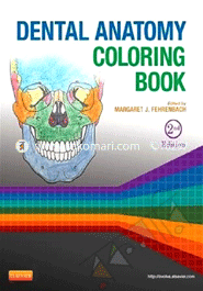 Dental Anatomy Coloring Book 