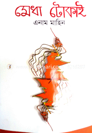 মেধা টোকাই