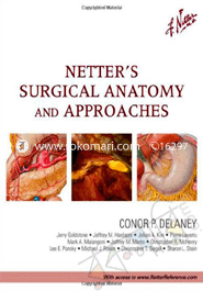 Netters Surgical Anatomy And Approaches 