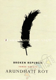 Broken Republic (Award-Winning Authors Books)