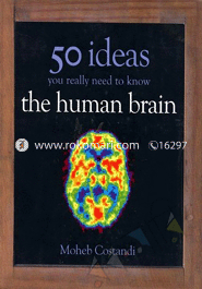 50 Human Brain Ideas You Really Need to Know image