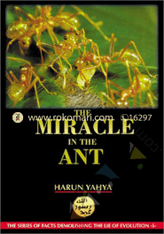 The Miracle In the Ant 