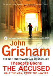 Theodore Boone 3: The Accused image