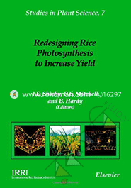Redesigning Rice Photosysthesis to Increase Yield 