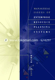 Managerial Issues of Enterprise Resource Planning Systems 