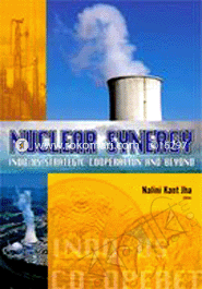 Nuclear Synergy 