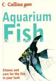 Collins Gem (Aquarium Fish) 