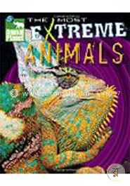 Animal PlanetTM The Most Extreme Animals image