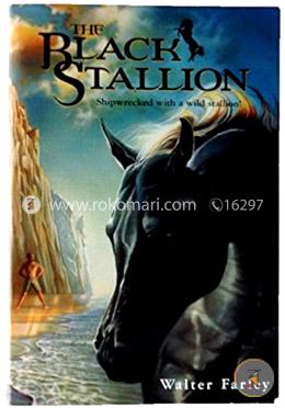 The Black Stallion image