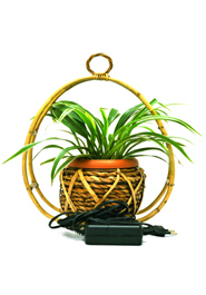 Bird House Plant Tob With LED Light (PC-7212) image