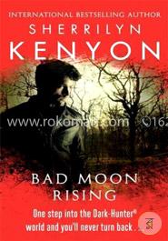 Bad Moon Rising image