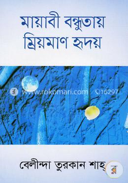 মায়াবী বন্ধুতায় ম্রিয়মাণ হৃদয় image