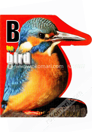 B For Bird image