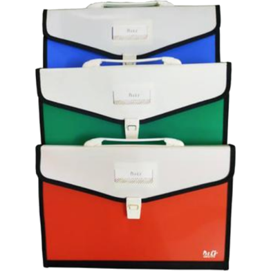 12 Pockets Expanding File Bag for Official Use image
