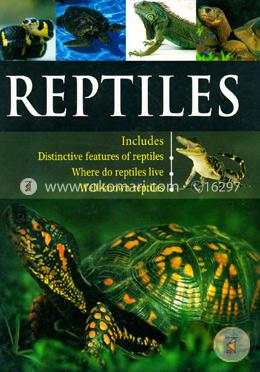 Reptiles image
