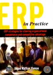 ERP in Practice image