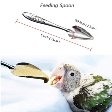 1pcs Feeding Spoon Bird Parrot Feeding Spoon /Stainless Steel Water Milk Powder Feeder Spoons/ bird accessories image