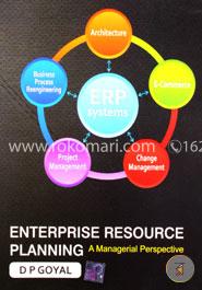 Enterprise Resource Planning a Managerial Perspective image