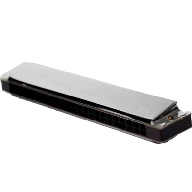 24 Hole Key Of C Play Harmonica Tremolo Harmonica Mouth Organ Double Row Blues (Any Colour). image
