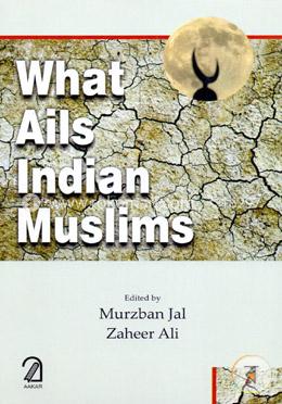 What Ails Indian Muslims image