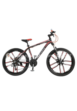 Duranta Allan Dynamic X-800 Multi Speed 26 Inch Cycle-Red color image
