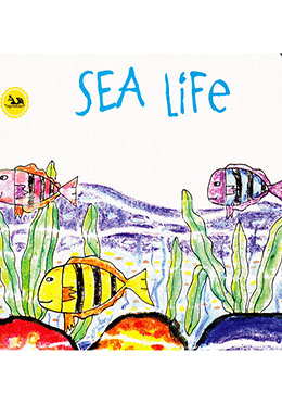 Sea Life image