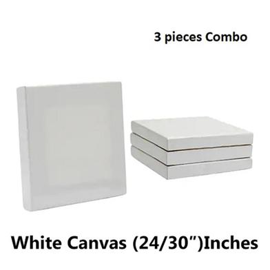 3 Pieces Combo of 24/30 Inches Drawing Canvas –White image