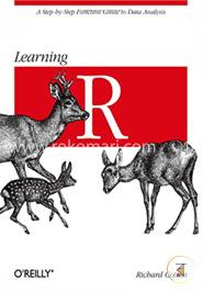 Learning R image