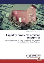 Liquidity Problems of Small Enterprises: Liquidity Problems of Small Enterprises and The Role of Banks to Solve These Problems image