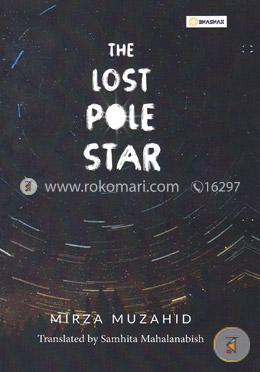 The Lost Pole Star image