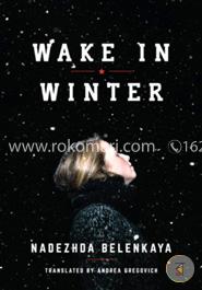 Wake in Winter image