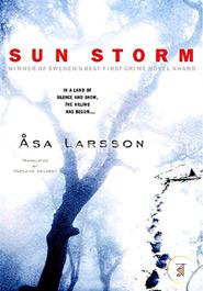 Sun Storm image