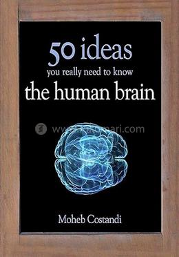 50 Human Brain Ideas You Really Need to Know The Human Brain image