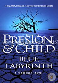 Blue Labyrinth image