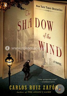 The Shadow of the Wind image