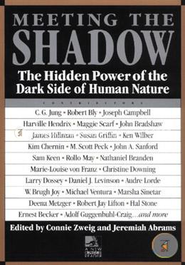 Meeting the Shadow: The Hidden Power of the Dark Side of Human Nature image